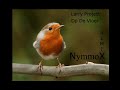 Larry Project - Op De Vloer (NymmoX Remix)