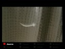 Samuele Roncaglia showreel 2008