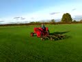 farmall f14 mowing grass
