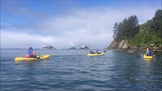 Safari Town Kayak Tours Lincoln City 2018