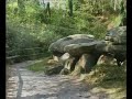 Promofilm Hohne Langemannshof reunie 2010