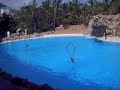 Delfinshow Loro Parque