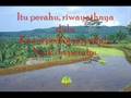 Bengawan Solo