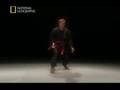 chinese martial arts 5