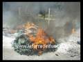 Foto v�deo