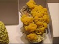 SQUIDMACK VISITS DC FOR THE 4TH SQUIDMACK VISITS DC FOR THE 4TH