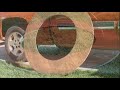 Build Your Own Poker Table - Construction Build Your Own Poker Table - Construction