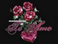 GRUPO BONANZA- gracias amor..*-*CHULE*--*