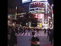 sampler to Nicolay's City Lights Vol. 2: Shibuya. Download for free at www.nicolaymusic.com The sampler includes snippets of the following tracks:: 01 Shibuya Station 02 Crossing 03 Omotesando 04 Meiji Shrine 05 Shadow Dancing 06 Bullet Train 07 Saturday Night feat. Carlitta Durand Some parts sound a little distorted, which i needed to convert the original audio file in order to make the video. But the original does not have that problem.
