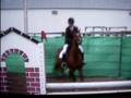 videos de Hope the Wonder Pony's First Mini Prix - Lvl 4 Cassaundra catch rides.AVI