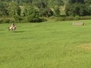 xc practice