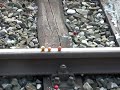 Münchner S-Bahn zermanscht 3 Kirschen