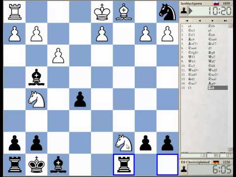 chess knight
