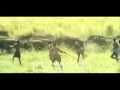 Africa Addio hunting elephants and hippos nsp