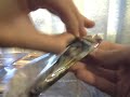 Dark Legends Opening