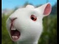 kill-the-wabbit.html