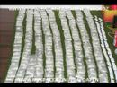 PIMP C DISS (NEYO-RUSSELL SIMMONS-YOUNG JEEZY) PIMP C DISS (NEYO-RUSSELL SIMMONS-YOUNG JEEZY)
