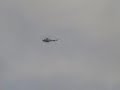 Government Oppression on National Day in Bahrain