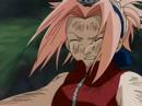 Sasuke And Sakura - Anything But Ordinary Sasuke And Sakura - Anything But Ordinary