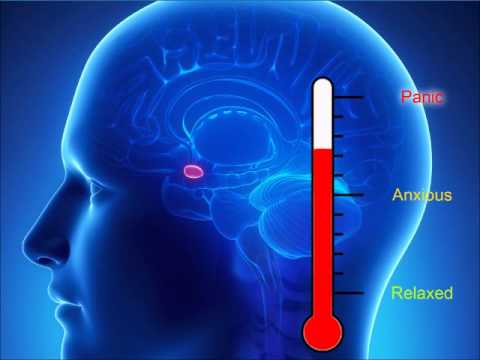 how to control anxiety and anger