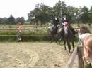 lusitano quadrille
