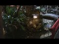 Chidori-cho & Ryokan