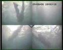 Swimright session Swimright session