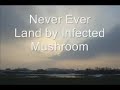 Never Ever Land