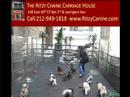 Pet Grooming New York City Dog Grooming Nyc Doggie DayCare