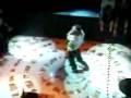 Cube 2008- Edko vs. Kamča