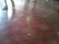 Dia das Crian�as no col�gio Frota.