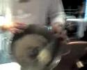 Liquid Nitrogen Ice Cream!