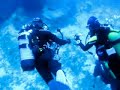 Buceo Mallorca - El pecio de los congrios II - Dragonera Buceo Mallorca - El pecio de los congrios II - Dragonera