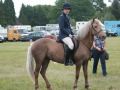 welsh wizard at wpc show 2010