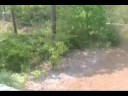 380 Woodbeach Dr