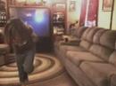 Angelica & her friend dancing to Soulja Boy Angelica & her friend dancing to Soulja Boy
