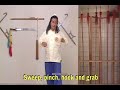 Taizu Changquan Subtitled ???????? Shaolin Longfist Taizu Changquan Subtitled ???????? Shaolin Longfist
