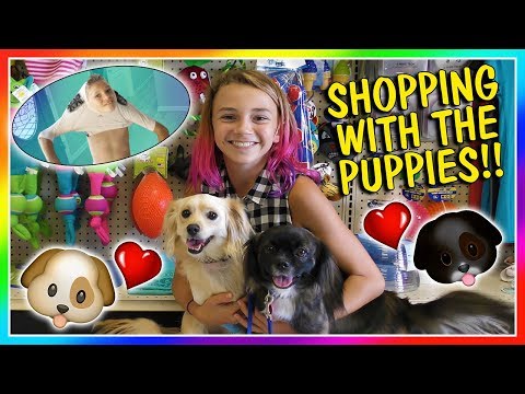 OUR PUPPIES GO TOY SHOPPING | TYLER GETS STUCK IN HIS FOOTBALL GEAR | We Are The Davises