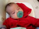 Rhona Mavi, 7 weeks old with pacifier