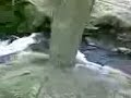 Catherine at Lumb Falls