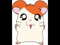 video of Hamtaro