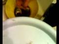 videos de il tiramisu by kimy & Caos