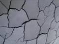 Andy Goldsworthy