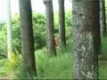 videos de Raduno Maxi Enduro 2009
