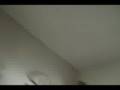 MY BIZZARE HOME MOVIE