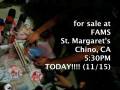 Exclusive CD Sold TODAY at F.A.M.S.!!!