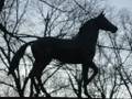 Tribute to Breyerpeep