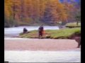 MAN FIGHTS BEAR FUNNY