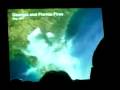 AAAS 2009: Al Gore - Presentation Part III