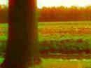Music Video 'Gietling', titletrack coming from the album 'Gietling' of Dutch minimal folkband 'Dagpauwoog'